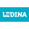 Ледина